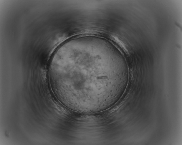 X0000091541260200709071056