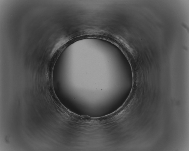 X0000091541261200709071056