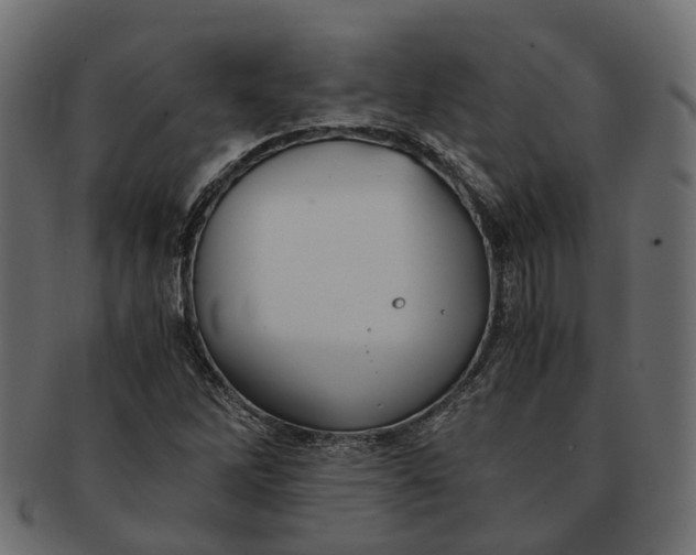 X0000091541262200709071056