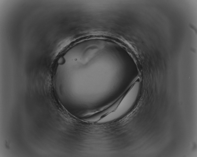 X0000091541263200709071055