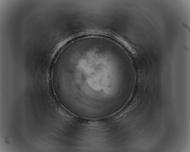 X0000091541264200709071055