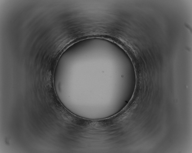 X0000091541265200709071055