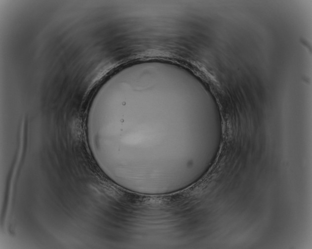 X0000091541266200709071055