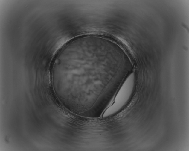 X0000091541267200709071055