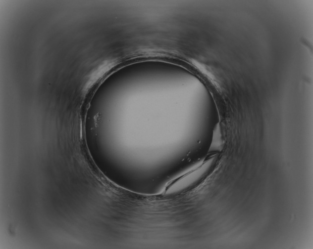 X0000091541269200709071055