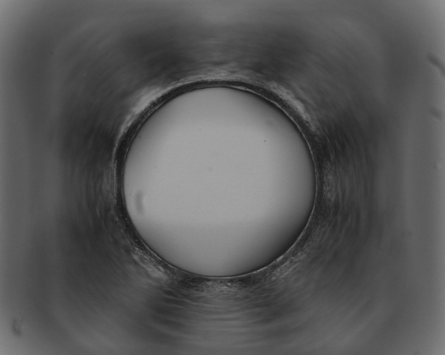 X0000091541270200709071055