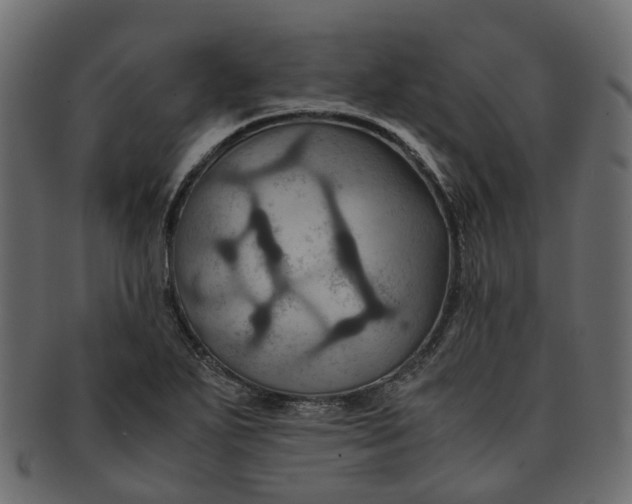 X0000091541271200709071055