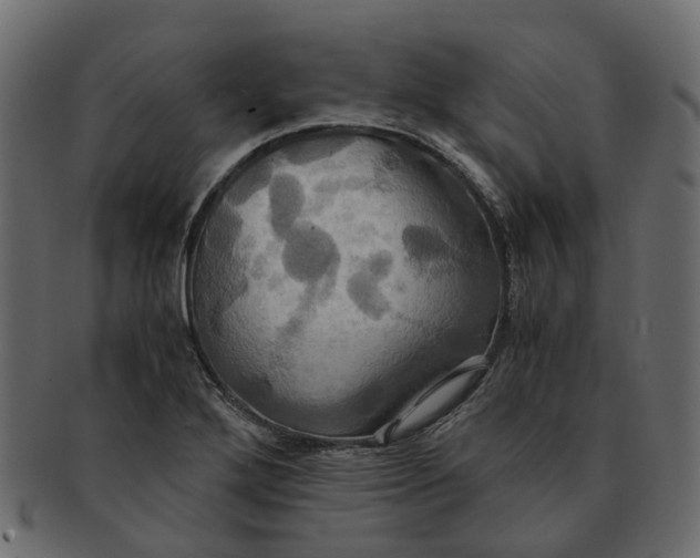 X0000091541272200709071055