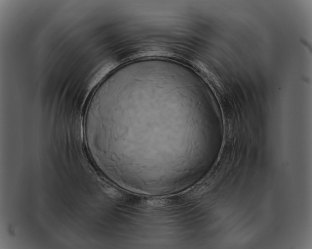 X0000091541274200709071055