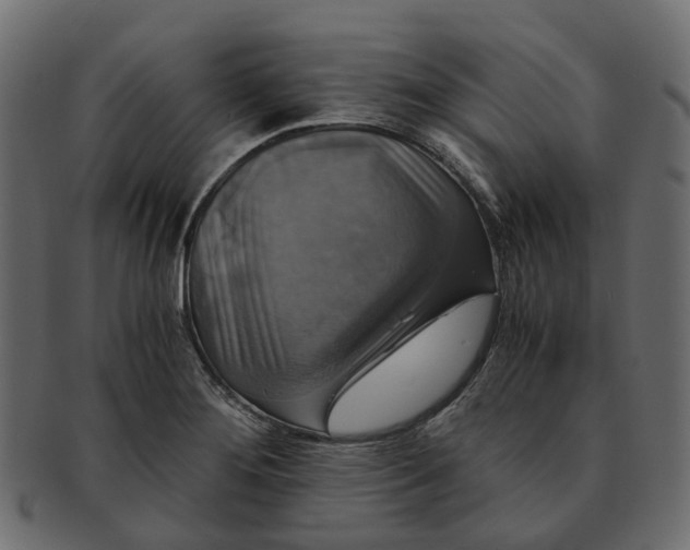 X0000091541276200709071055