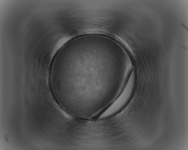 X0000091541277200709071055