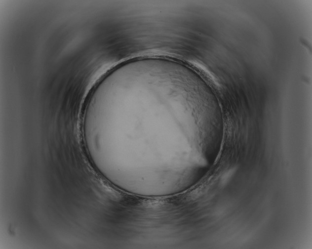 X0000091541278200709071055