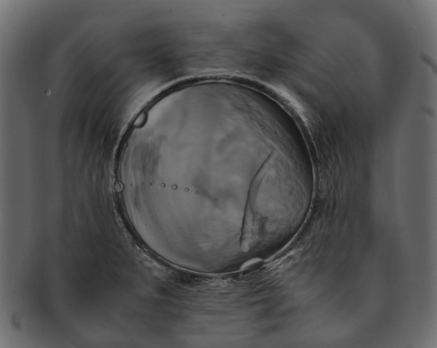 X0000091541279200709071055