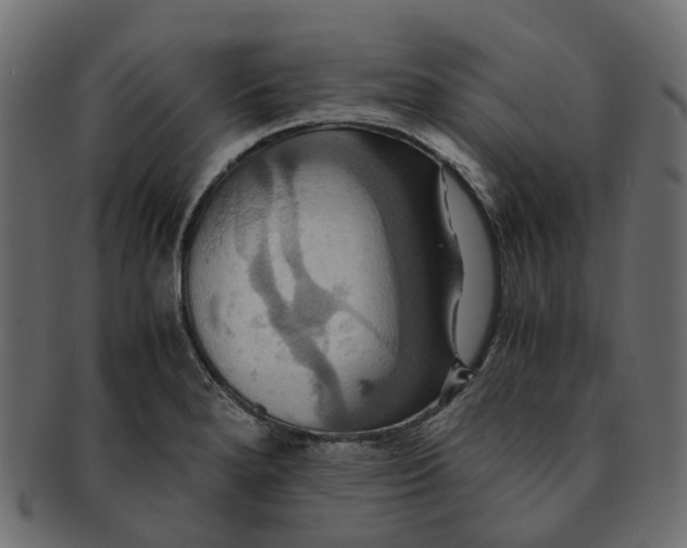 X0000091541280200709071055