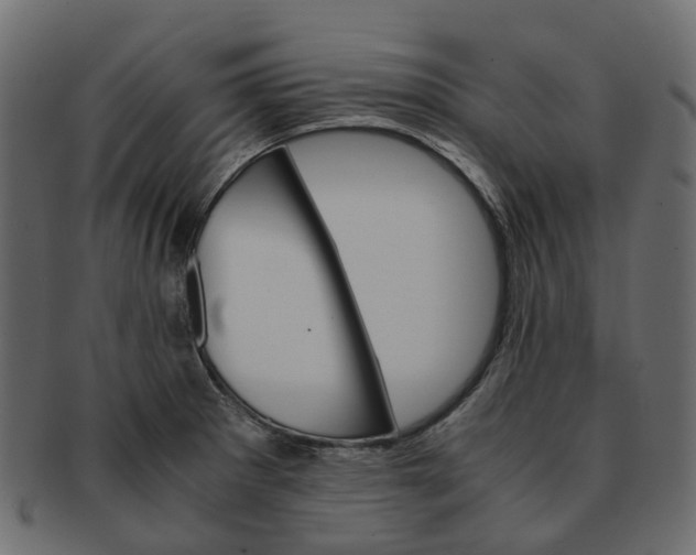 X0000091541281200709071055