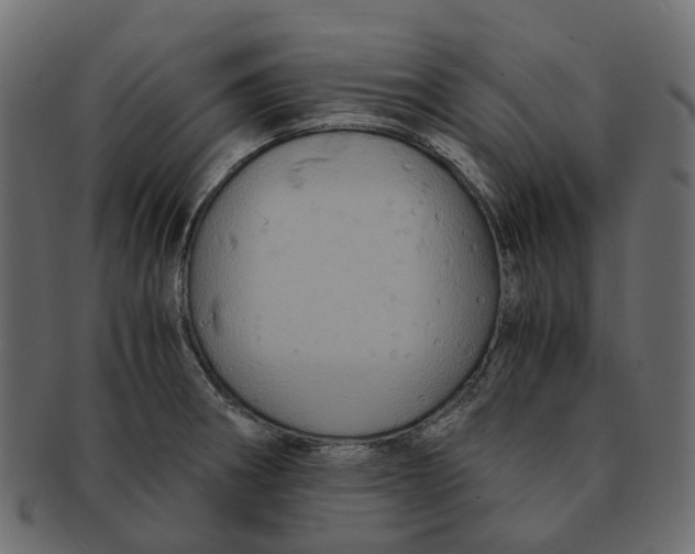 X0000091541282200709071055