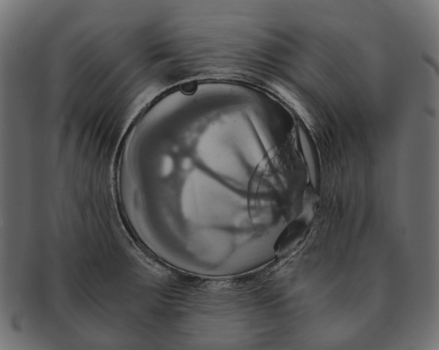 X0000091541283200709071055