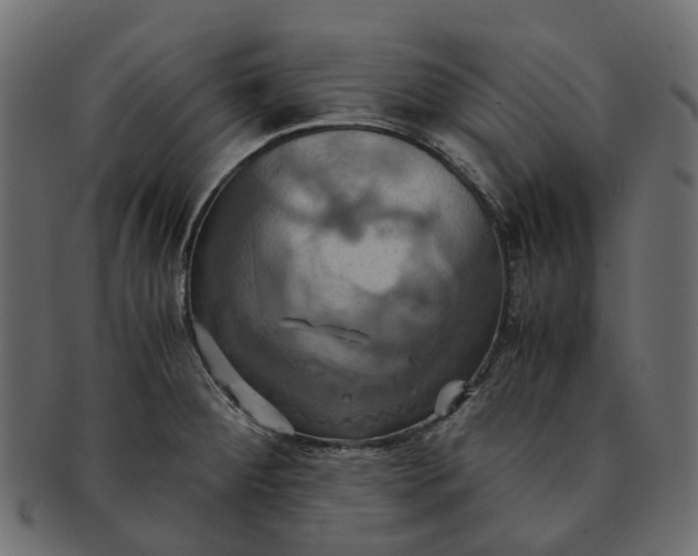 X0000091541284200709071055