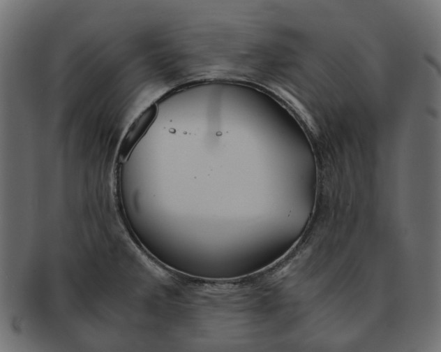 X0000091541285200709071055