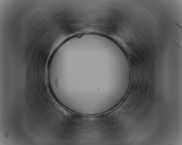 X0000091541286200709071055