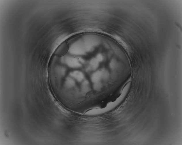 X0000091541287200709071055