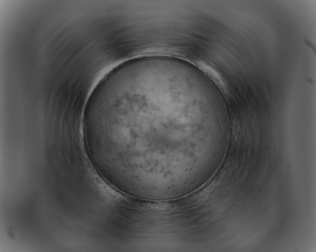 X0000091541288200709071055