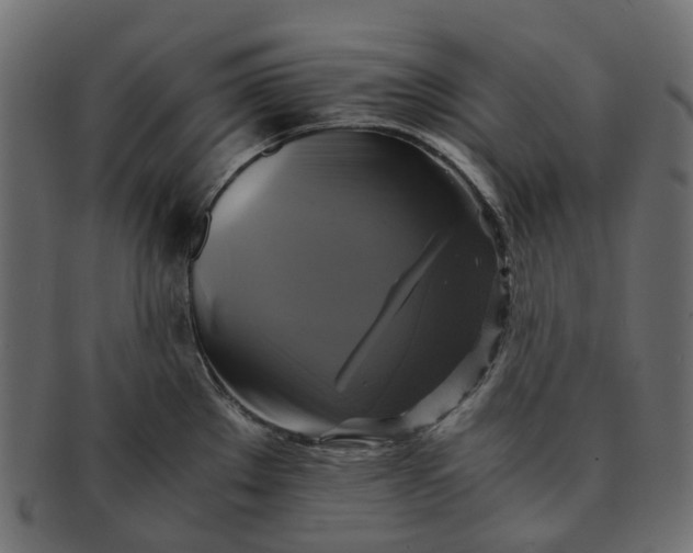 X0000091541289200709071055