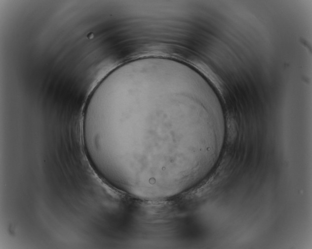 X0000091541290200709071055