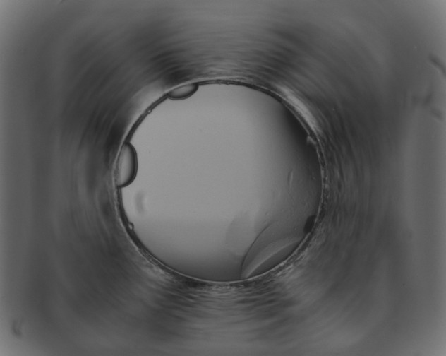 X0000091541291200709071055