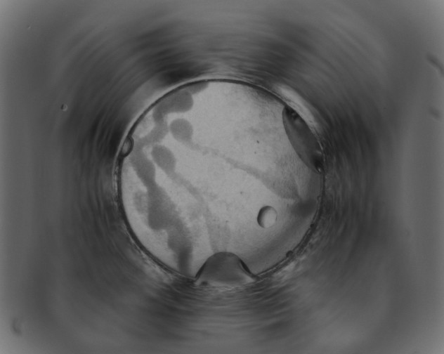 X0000091541292200709071055