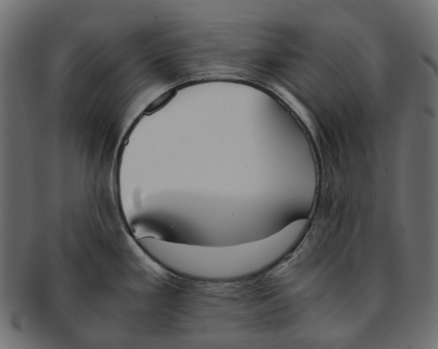 X0000091541293200709071055