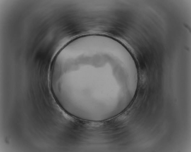 X0000091541294200709071055