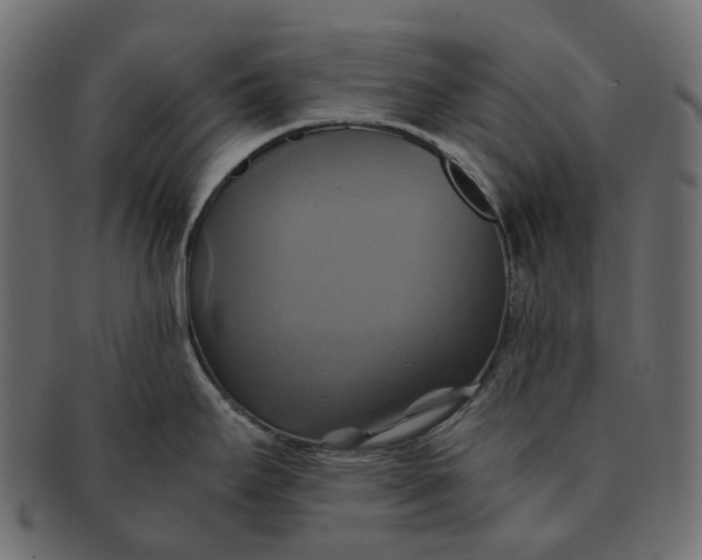 X0000091541295200709071055