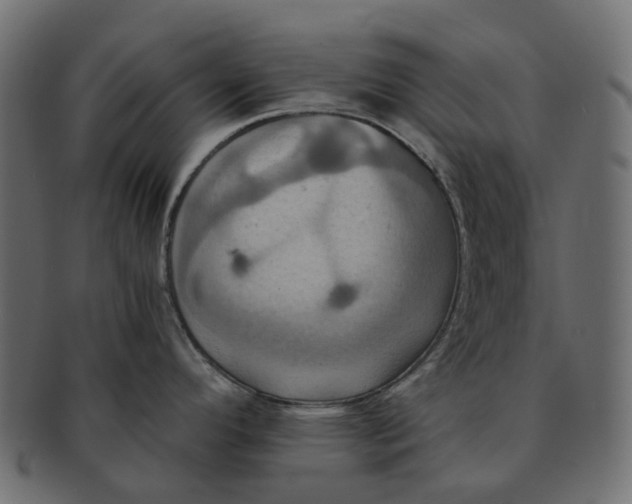 X0000091541296200709071055