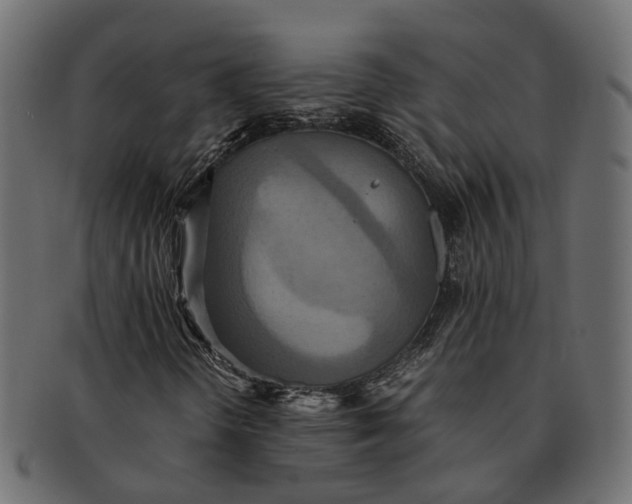 X0000091541298200709071054