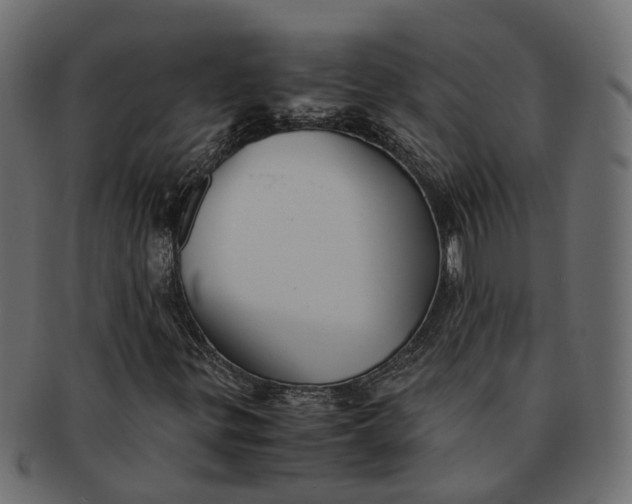 X0000091541299200709071054