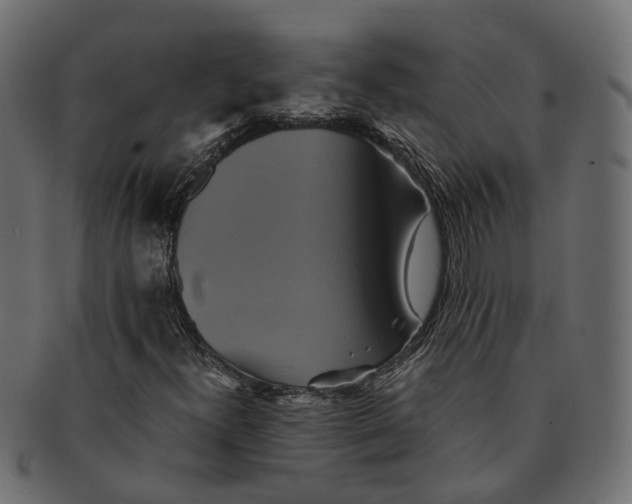 X0000091541300200709071054