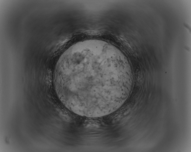 X0000091541301200709071054