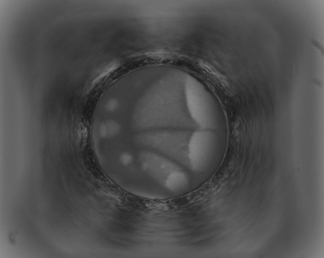 X0000091541302200709071054