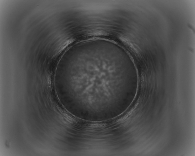 X0000091541305200709071054