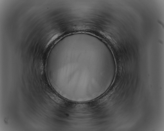 X0000091541306200709071055