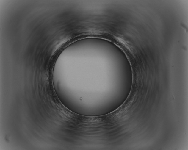 X0000091541307200709071055