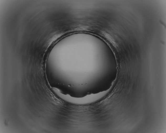 X0000091541308200709071055