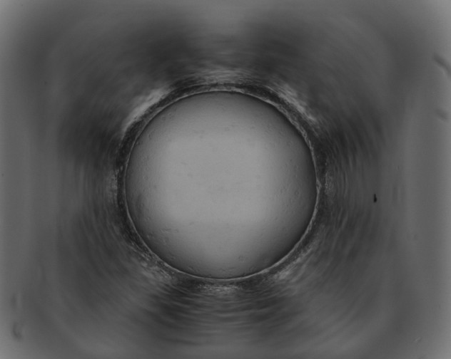 X0000091541309200709071055