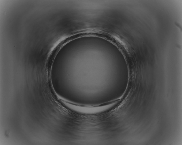 X0000091541310200709071055