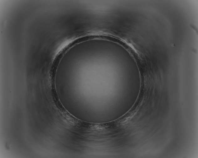 X0000091541311200709071055