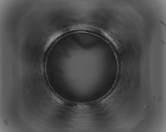 X0000091541312200709071055