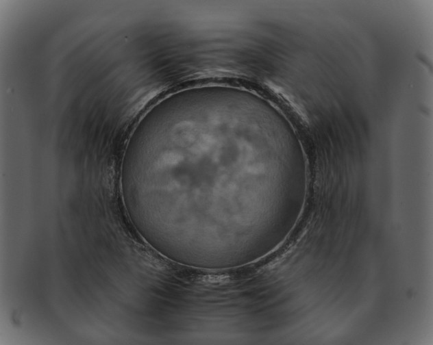 X0000091541313200709071055