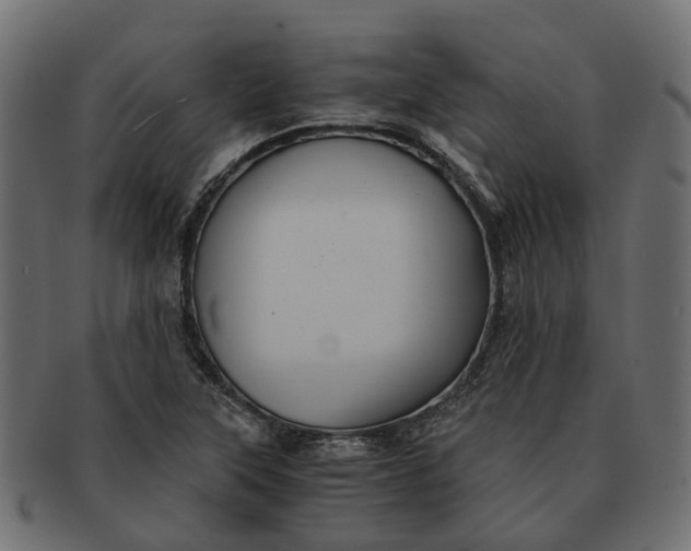 X0000091541315200709071055