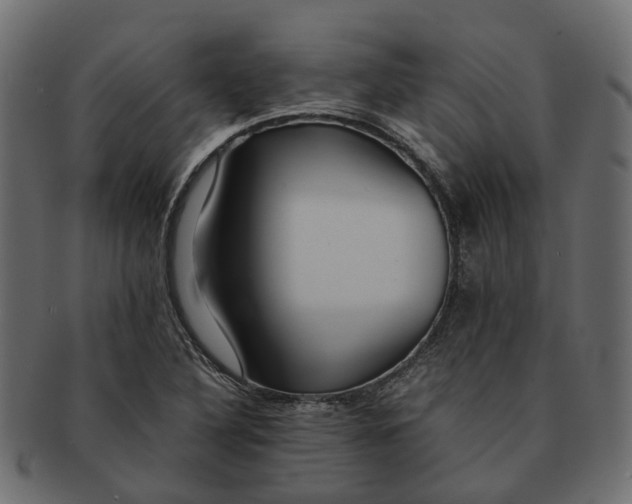 X0000091541316200709071055